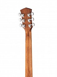Акустическая гитара, с чехлом Parkwood S62