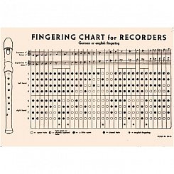 HOHNER B9533 - Блокфлейта сопрано немецкая система Хонер