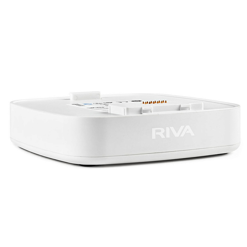 Беспроводные решения / мультирум RIVA Audio Arena Battery в магазине Music-Hummer