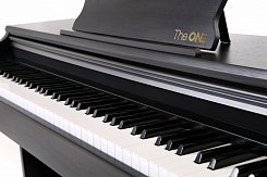 The ONE piano black