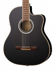 Классическая гитара Ortega RCE145BK Family Series Pro 