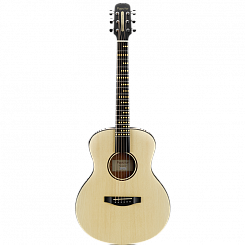  Акустическая гитара POPUMUSIC Poputar T1 Travel Edition Wood