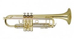 Труба WISEMANN DTR-400