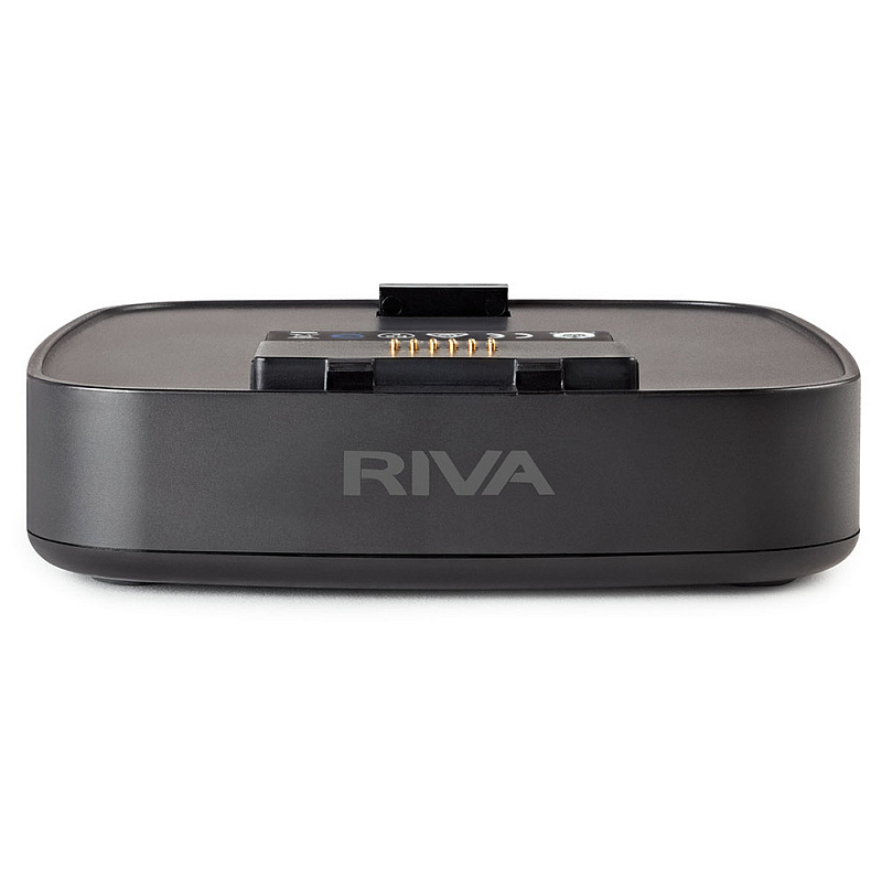 Беспроводные решения / мультирум RIVA Audio Arena Battery в магазине Music-Hummer