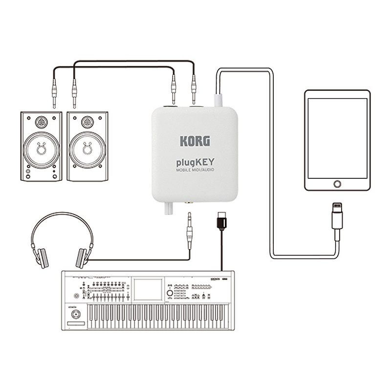 KORG plugKEY-WH портативный аудио/миди интерфейс в магазине Music-Hummer