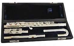 Поперечная флейта ROY BENSON FL-402E2