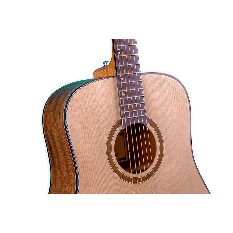 Акустическая гитара Omni D-120 NT в магазине Music-Hummer