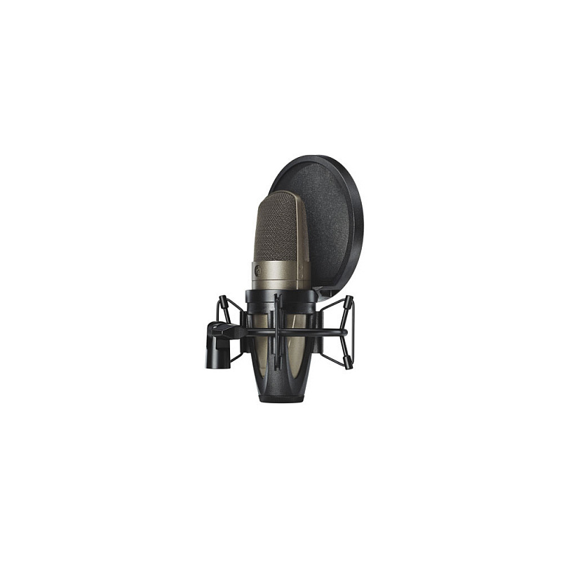 Микрофон SHURE KSM42/SG в магазине Music-Hummer