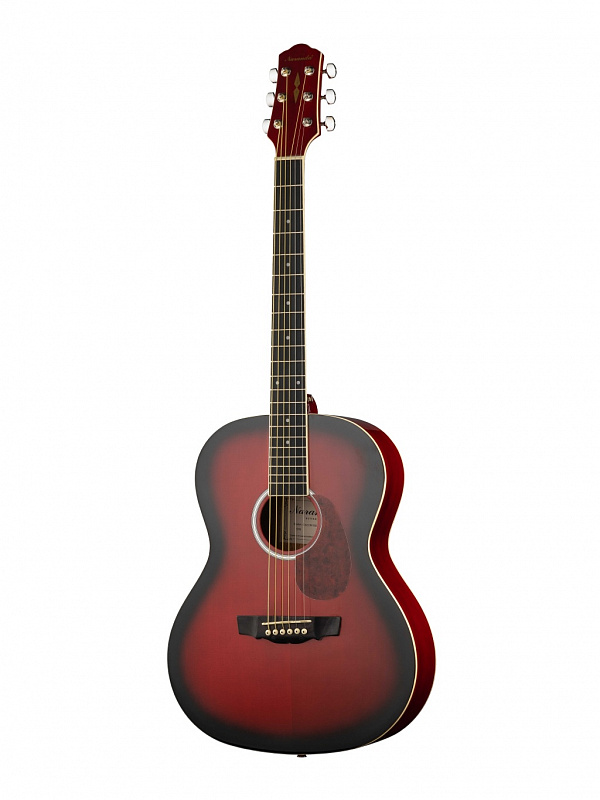 Акустическая гитара Naranda CAG280RDS в магазине Music-Hummer