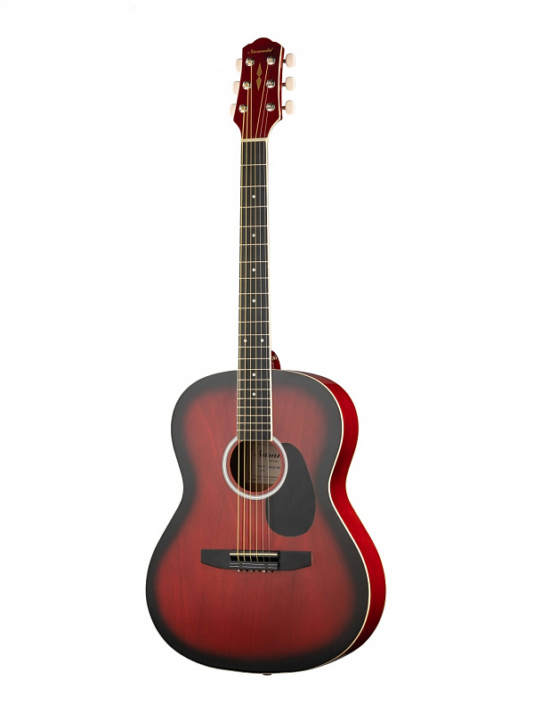 Акустическая гитара Naranda CAG240RDS в магазине Music-Hummer